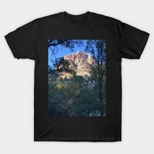 Nevada Mountain T-Shirt